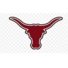 Longhorn Youth Lacrosse Association