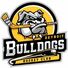 Detroit Bulldogs Hockey Club (Historical)