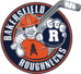 Bakersfield Roughnecks/Bakersfield Center of Excellence