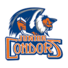 Bakersfield Jr Condors Travel Youth Hockey