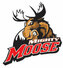 Mighty Moose Ice Hockey, Inc.