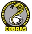 South Suburban Cobras Rugby