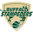 Buffalo Stampeders Basketball