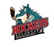 Kelowna Minor Hockey Association