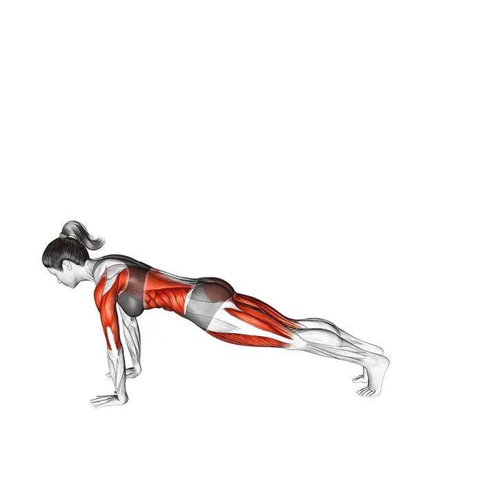 Kolmijalkainen Chaturanga-venytys - harjoituksen suoritus