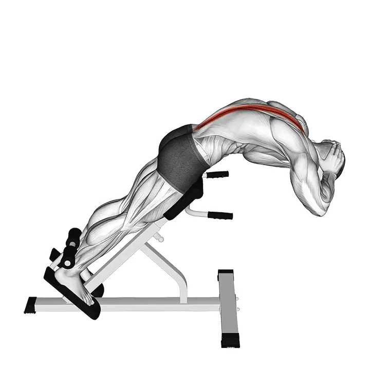 45 asteen selänojennus - harjoituksen suoritus