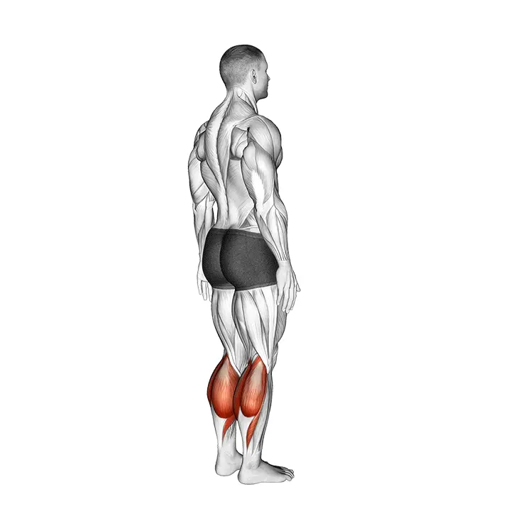 Nilkan ojennus - harjoituksen suoritus