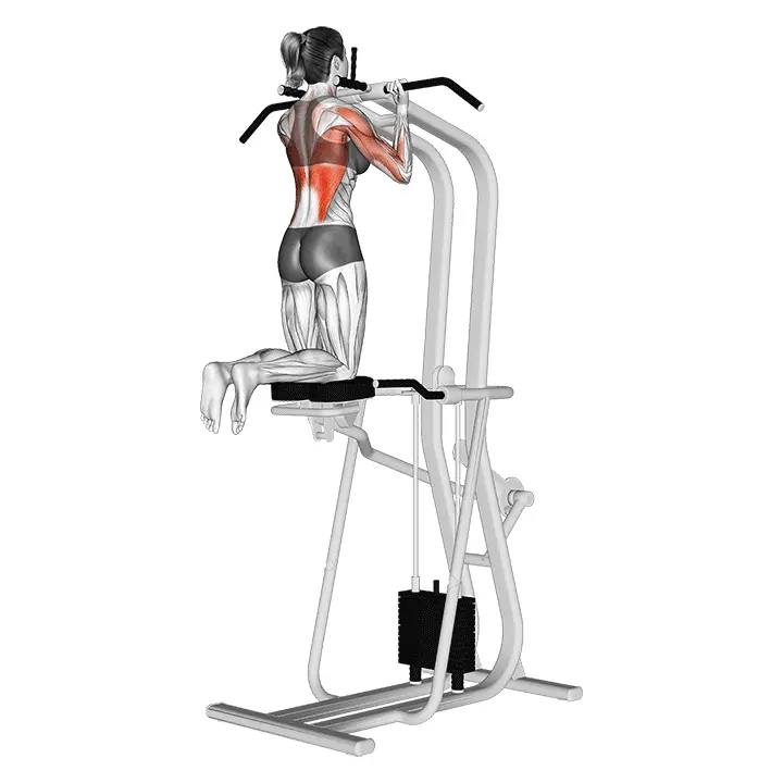 Avustettu kapea alakädellä leuanveto - harjoituksen suoritus