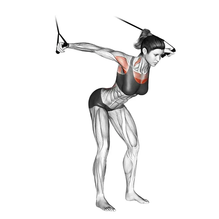 Kuminauhainen yläfly - harjoituksen suoritus