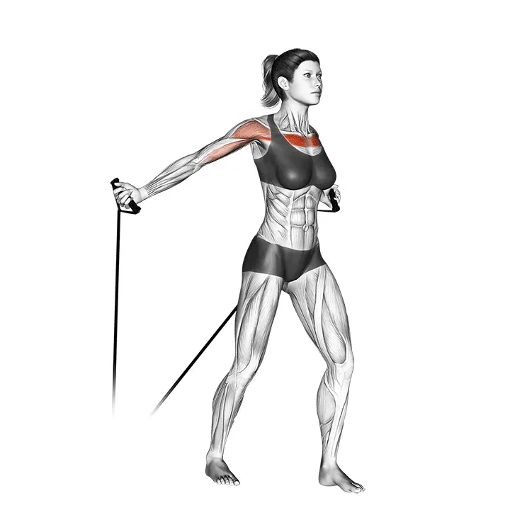 Kuminauha-alasrintalihas - harjoituksen suoritus