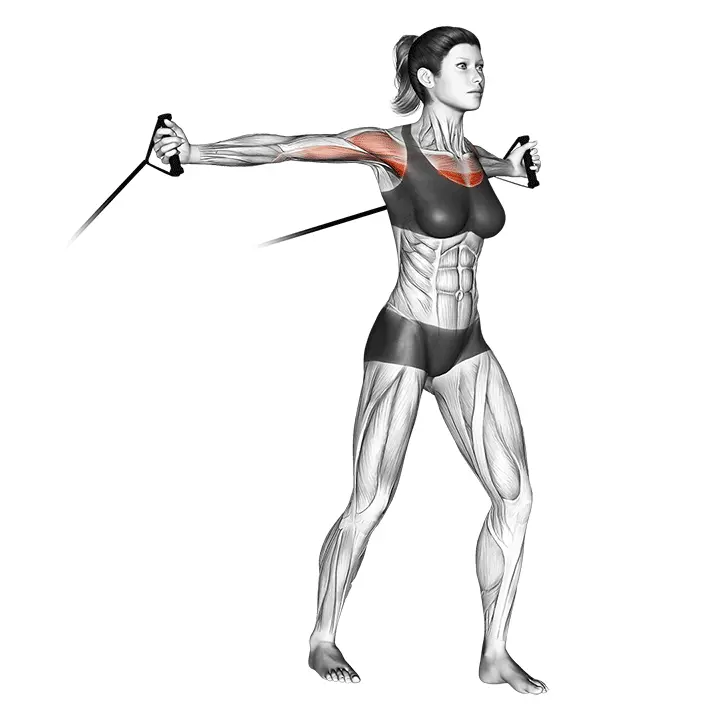 Kuminauha keskivetä rinta - harjoituksen suoritus