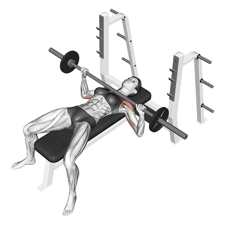 Levytangon penkkipunnerrus - harjoituksen suoritus