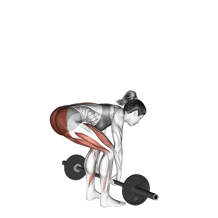 Levytangon maastaveto - harjoituksen suoritus