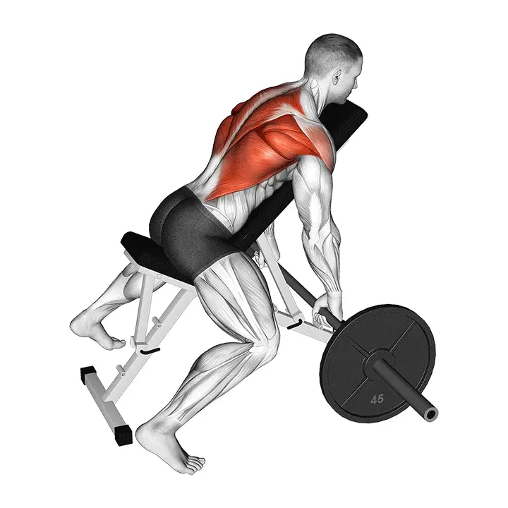 Levytanko vinopenkkiveto - harjoituksen suoritus