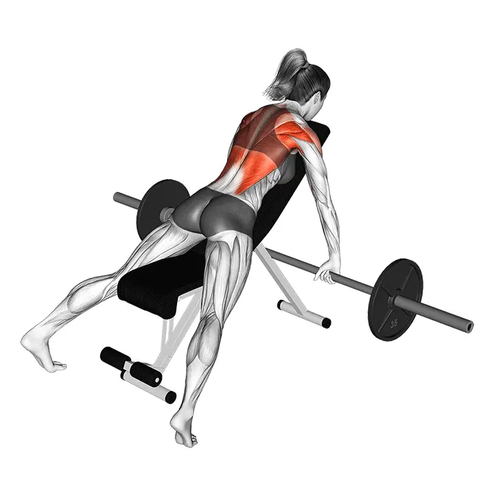 Vinopenkkivetotanko - harjoituksen suoritus