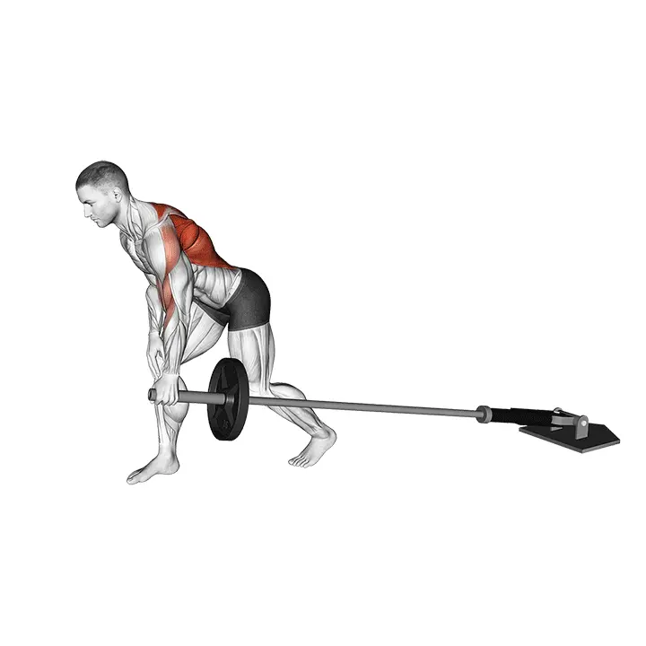 Levytanko yhdellä kädellä kumarassa soutu - harjoituksen suoritus