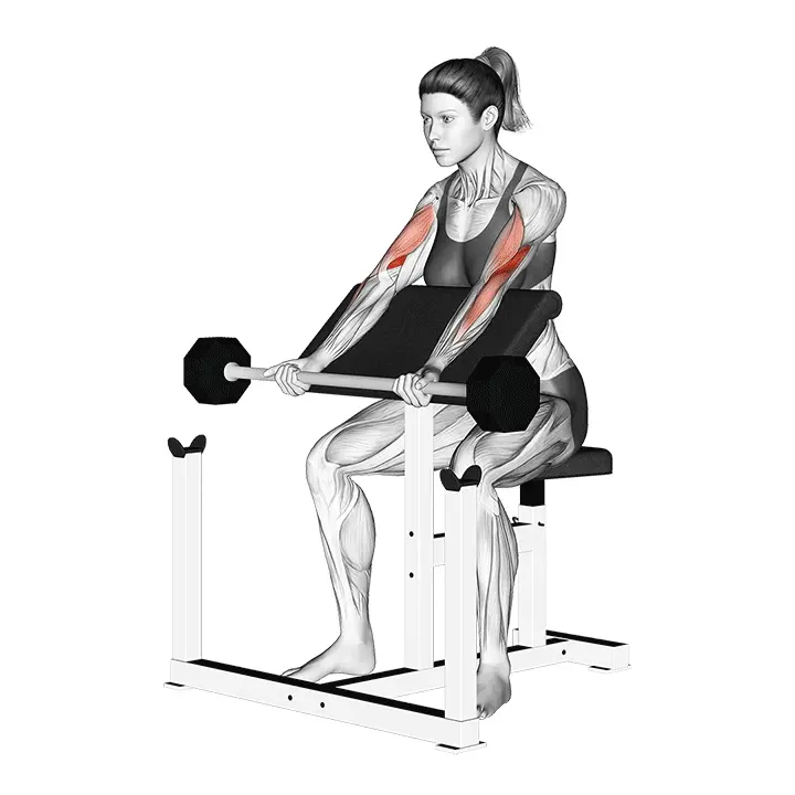 Levytanko saarnatuolilla koukistus - harjoituksen suoritus