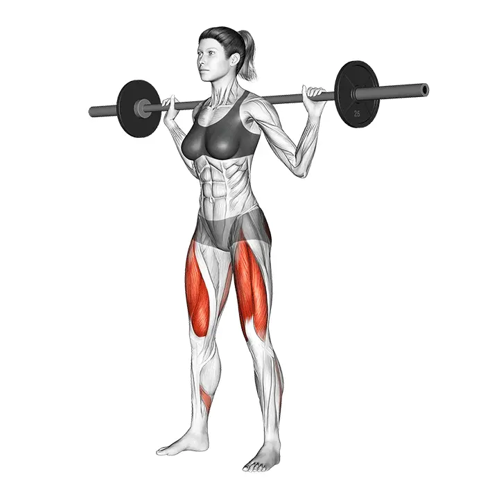 Levytangon kyykky - harjoituksen suoritus