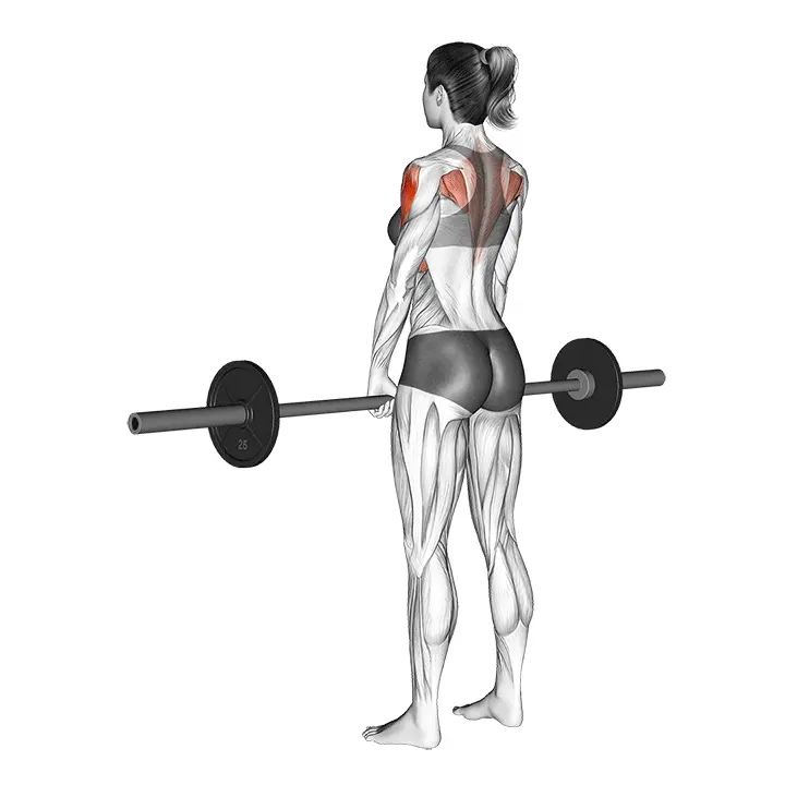 Levytangon pystysoutu - harjoituksen suoritus