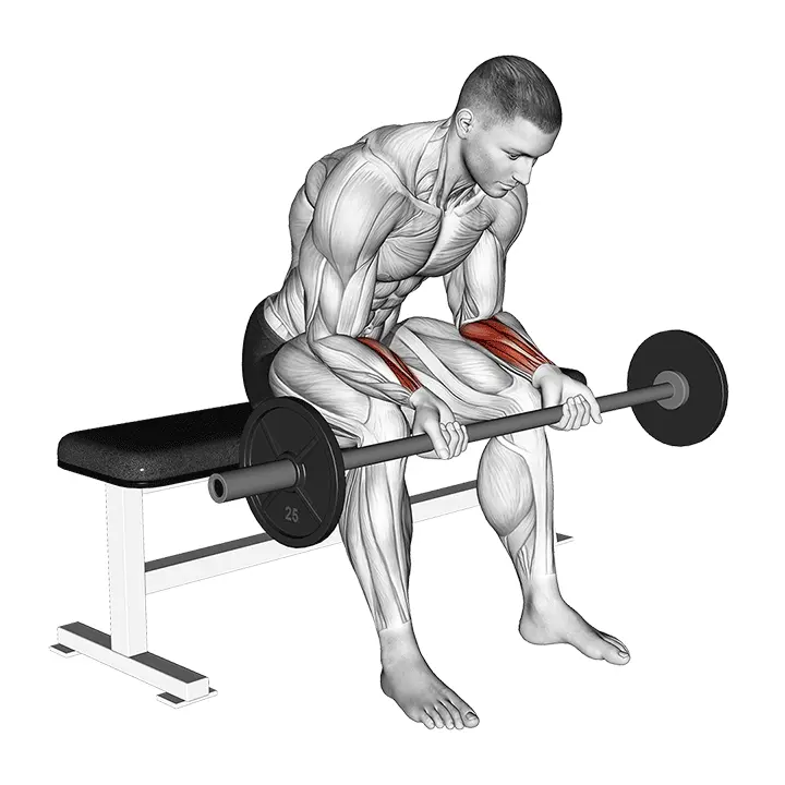 Levytangon rannekoukistus - harjoituksen suoritus