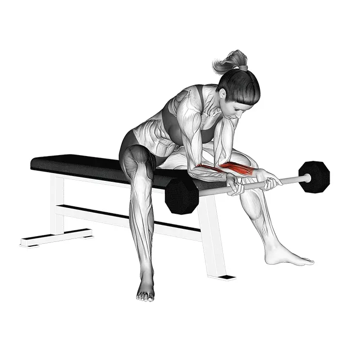 Levytangon rannekoukistus - harjoituksen suoritus