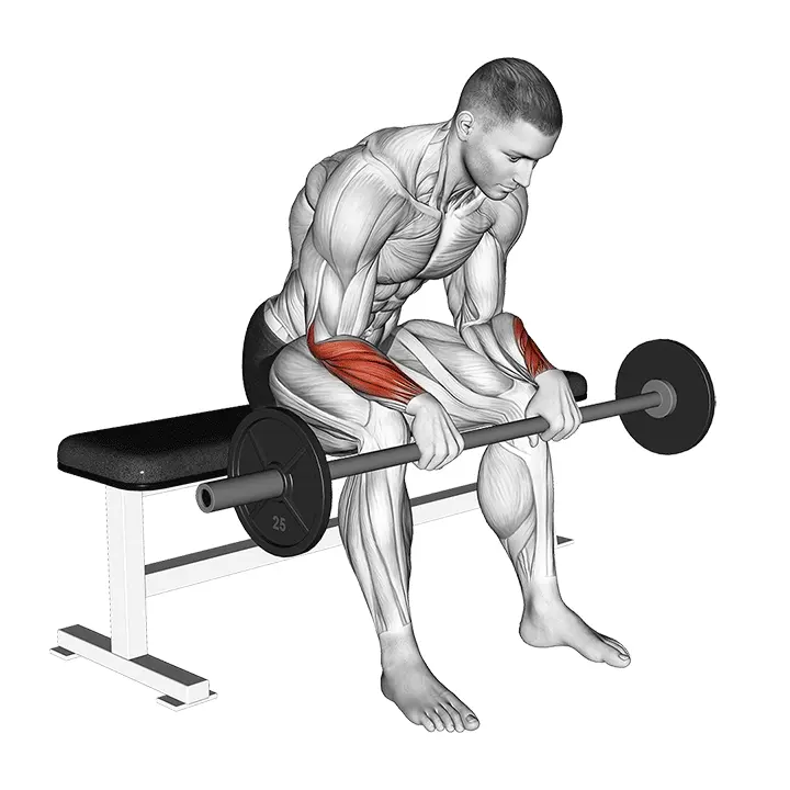 Levytangon rannekääntö (käänteinen) - harjoituksen suoritus