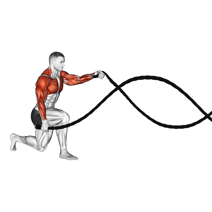 Puolikyykyssä taisteluköydet - harjoituksen suoritus