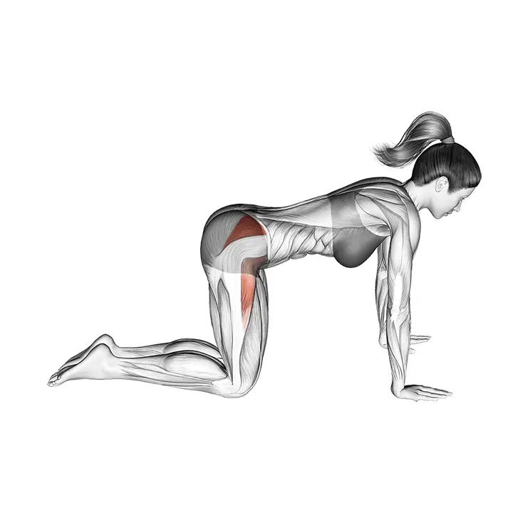 Koukistettu sivupotku - harjoituksen suoritus