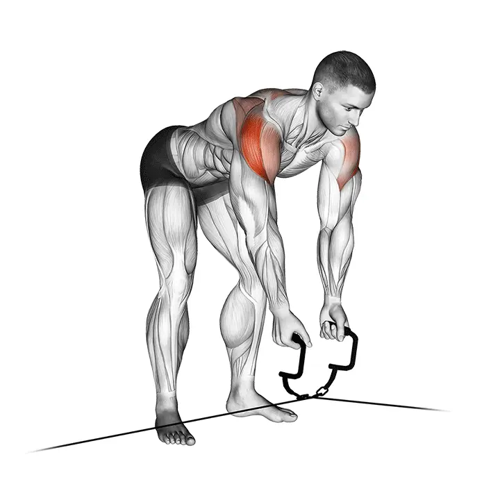 Kaapelikristi–reverse fly - harjoituksen suoritus