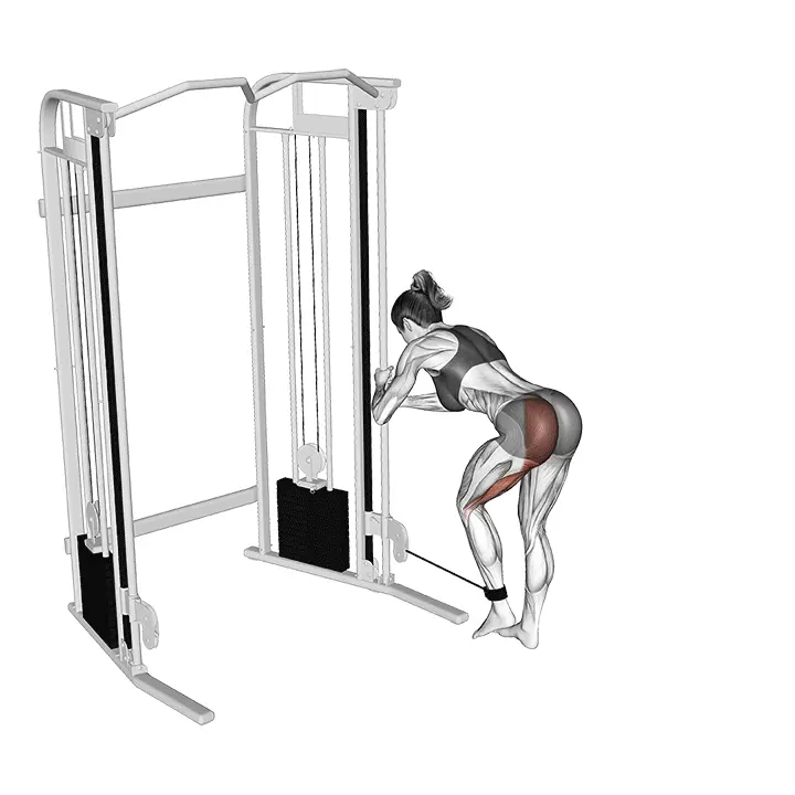 Kaapeli-donky potku - harjoituksen suoritus