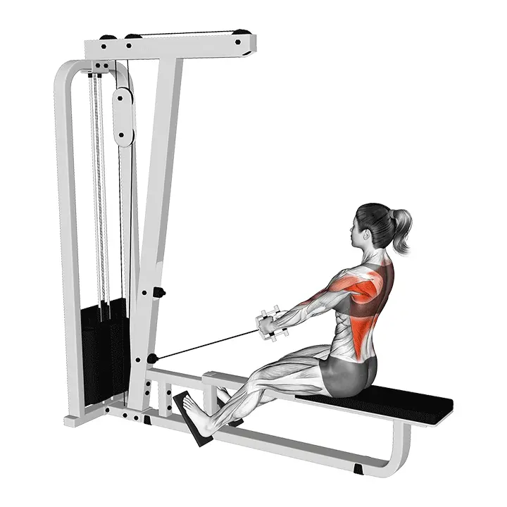 Kahvallinen istuva alaveto V-kahvalla - harjoituksen suoritus