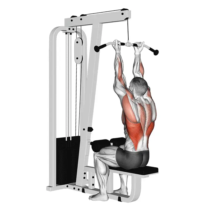 Käänteiskahvainen istuva ylätalja veto - harjoituksen suoritus