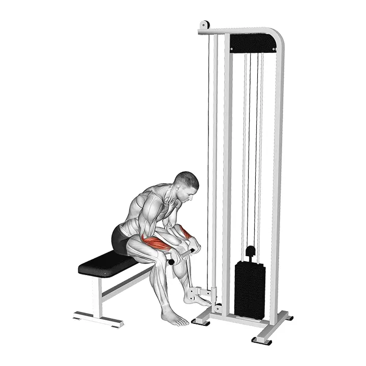 Kaapeli käänteinen rannekoukku - harjoituksen suoritus