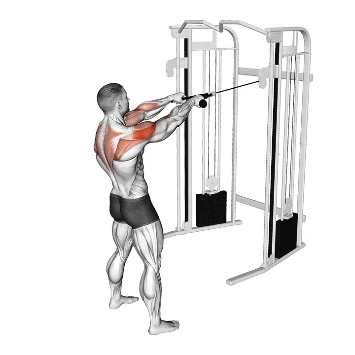 Köysi face pull - harjoituksen suoritus