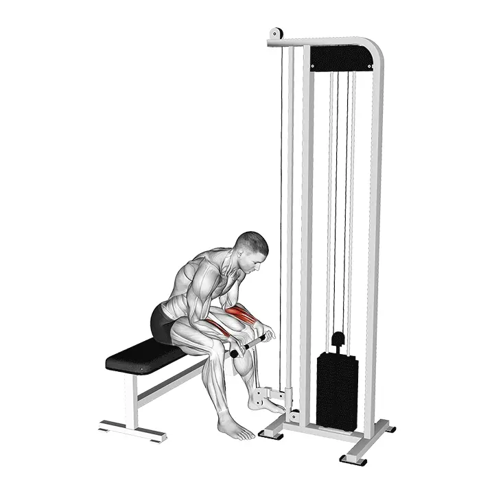 Kaapeliranteen koukistus - harjoituksen suoritus