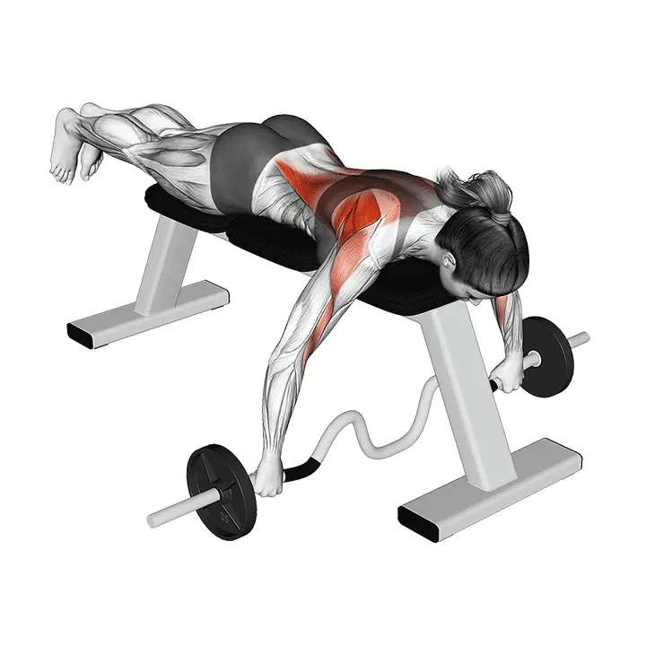 Cambered-tanko maaten veto - harjoituksen suoritus