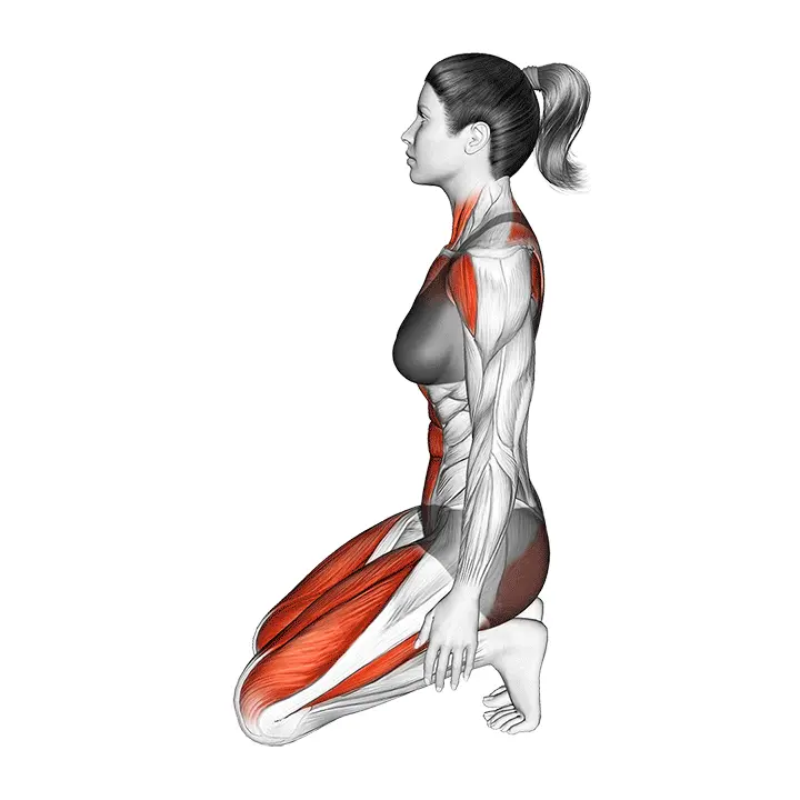 Kameli-asento Ustrasana - harjoituksen suoritus