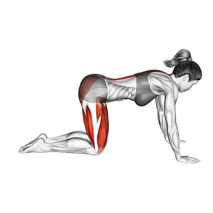 Lapsen asento venytys - harjoituksen suoritus