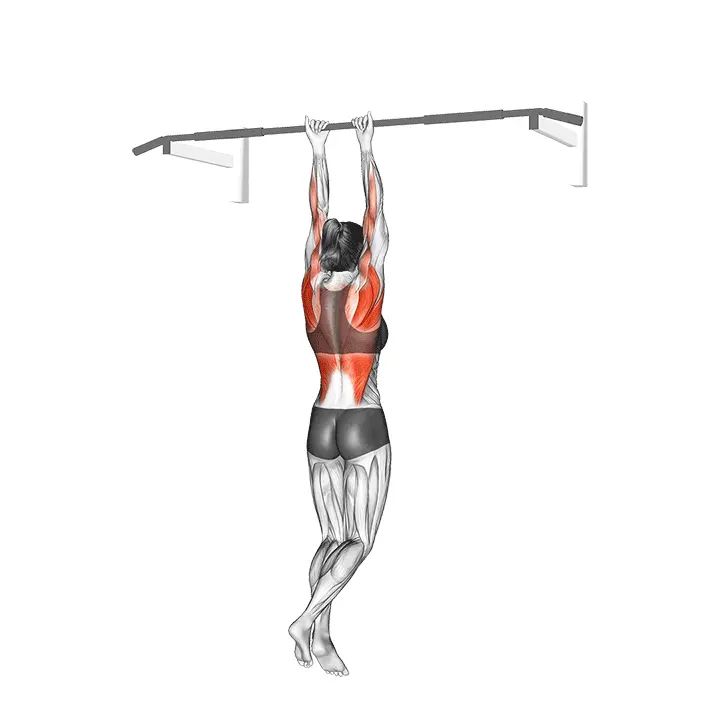 Kapea leuanveto - harjoituksen suoritus