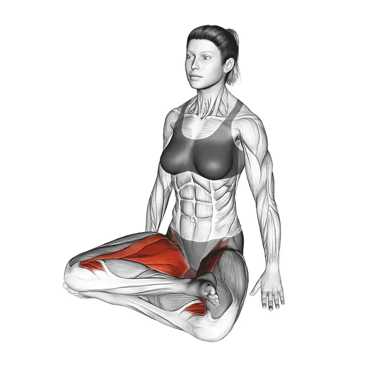 Kaksinkertainen kyyhkynen -venytys - harjoituksen suoritus