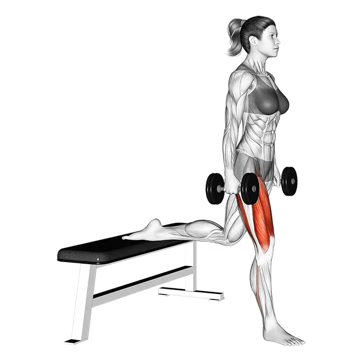 Käsipainobulgarialainen askelkyykky - harjoituksen suoritus