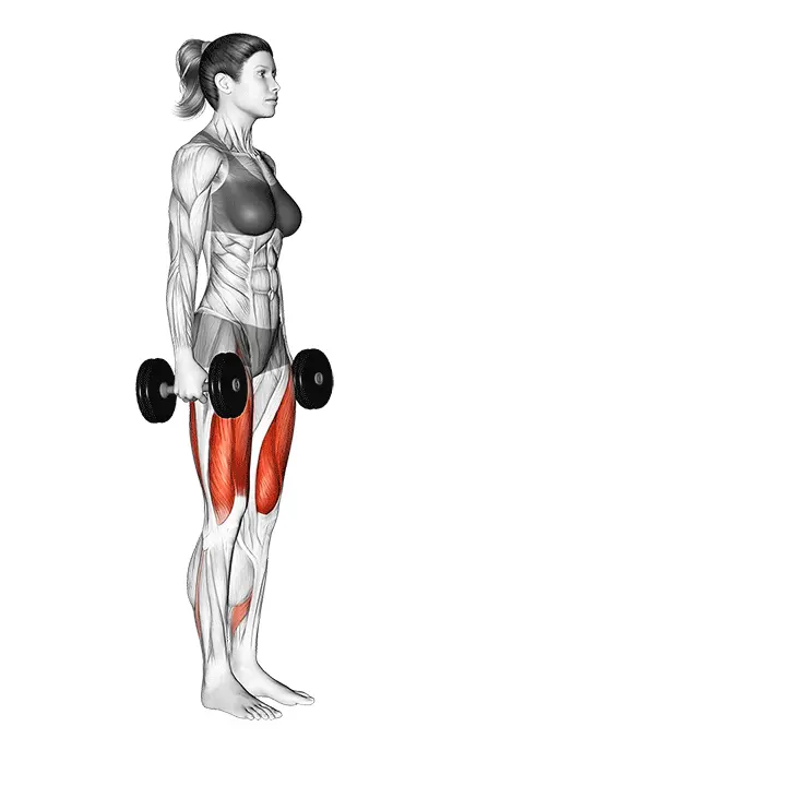 Käsipainokävelyaskel eteen (lunge) - harjoituksen suoritus