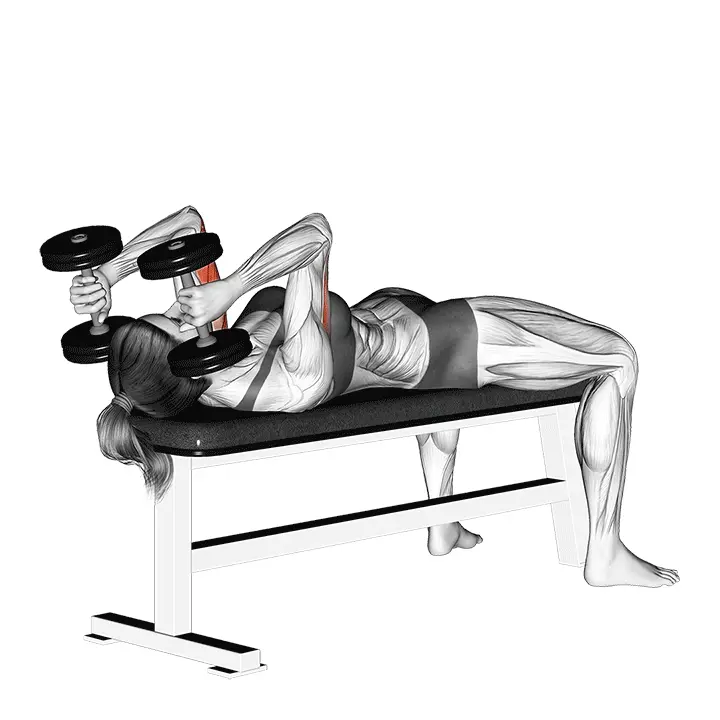 Käsipainolla makuuasennossa ojentajaprässi - harjoituksen suoritus