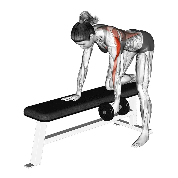 Yhden käden käsipainosoutu kumarassa - harjoituksen suoritus