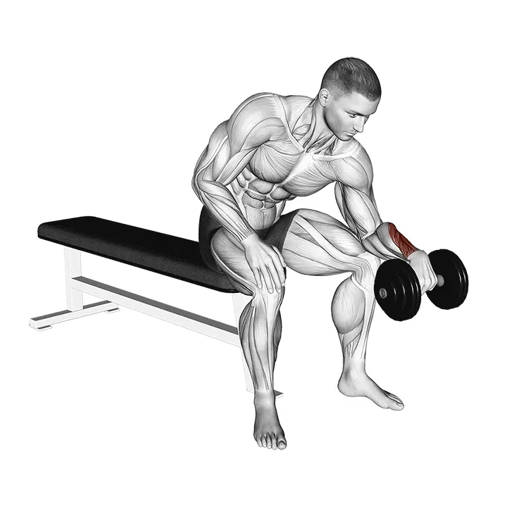 Yhden käden kääntöliike ranteelle - harjoituksen suoritus