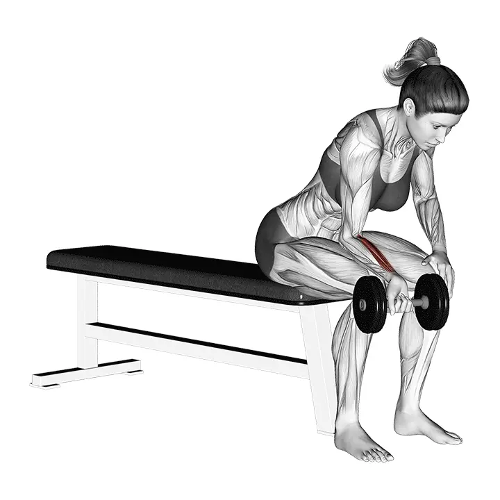 Yhden käden rannekoukistus käsipainolla - harjoituksen suoritus