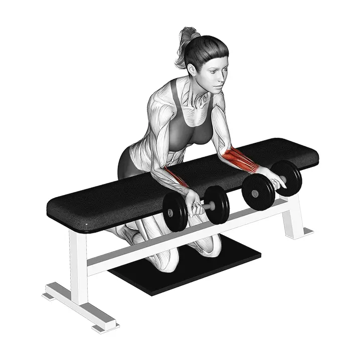 Käsipainojen ranteen ojennus penkillä maton kanssa - harjoituksen suoritus