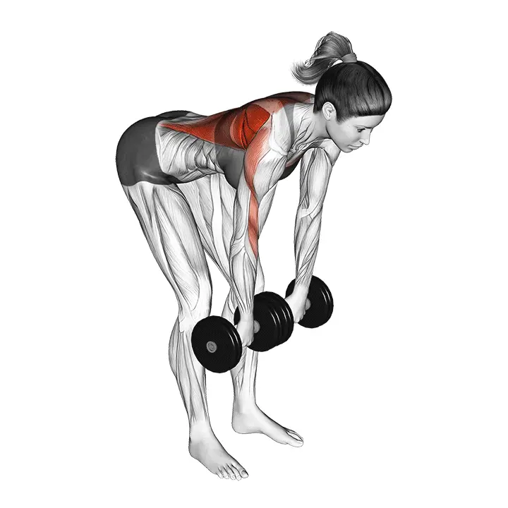 Käsipaino kämmenkierto kumartuva soutu - harjoituksen suoritus