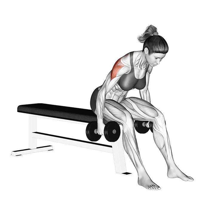 Käsipaino takatalja - harjoituksen suoritus