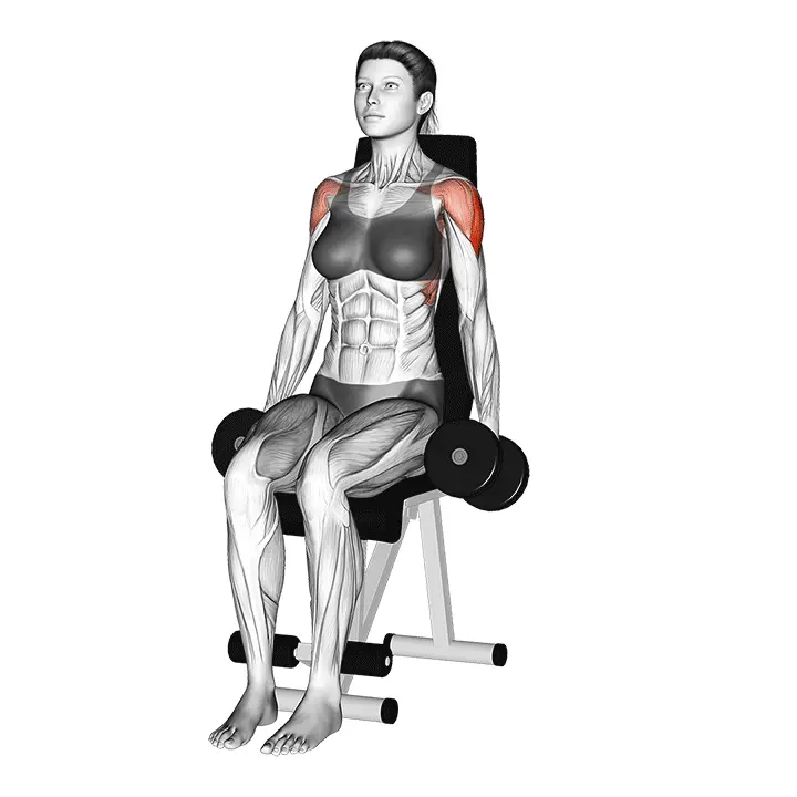 Käsipaino istuma sivunosto - harjoituksen suoritus